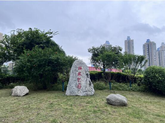 伟德体育 - 综合体育赛事平台|奥体中心相助同伴